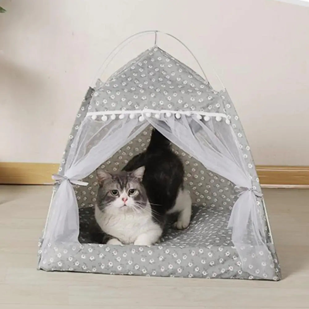 Cat Tent