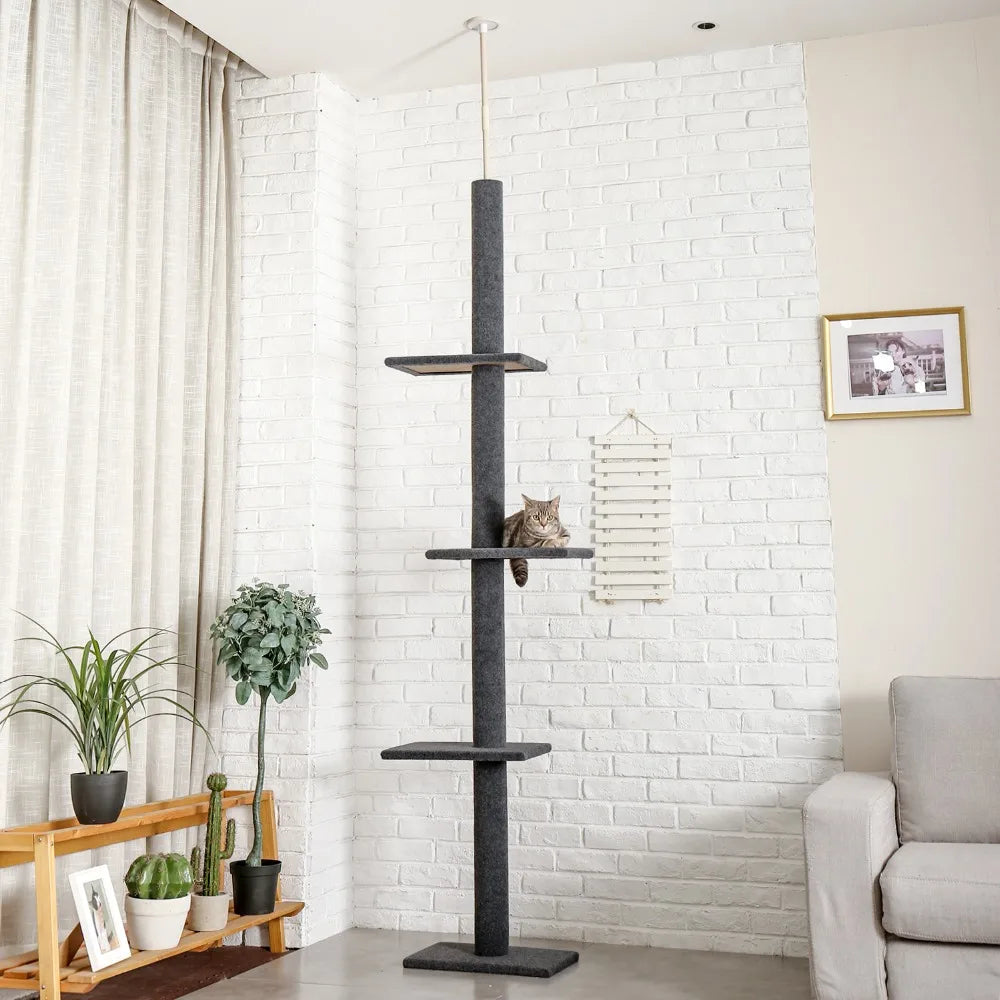 Cat Condos