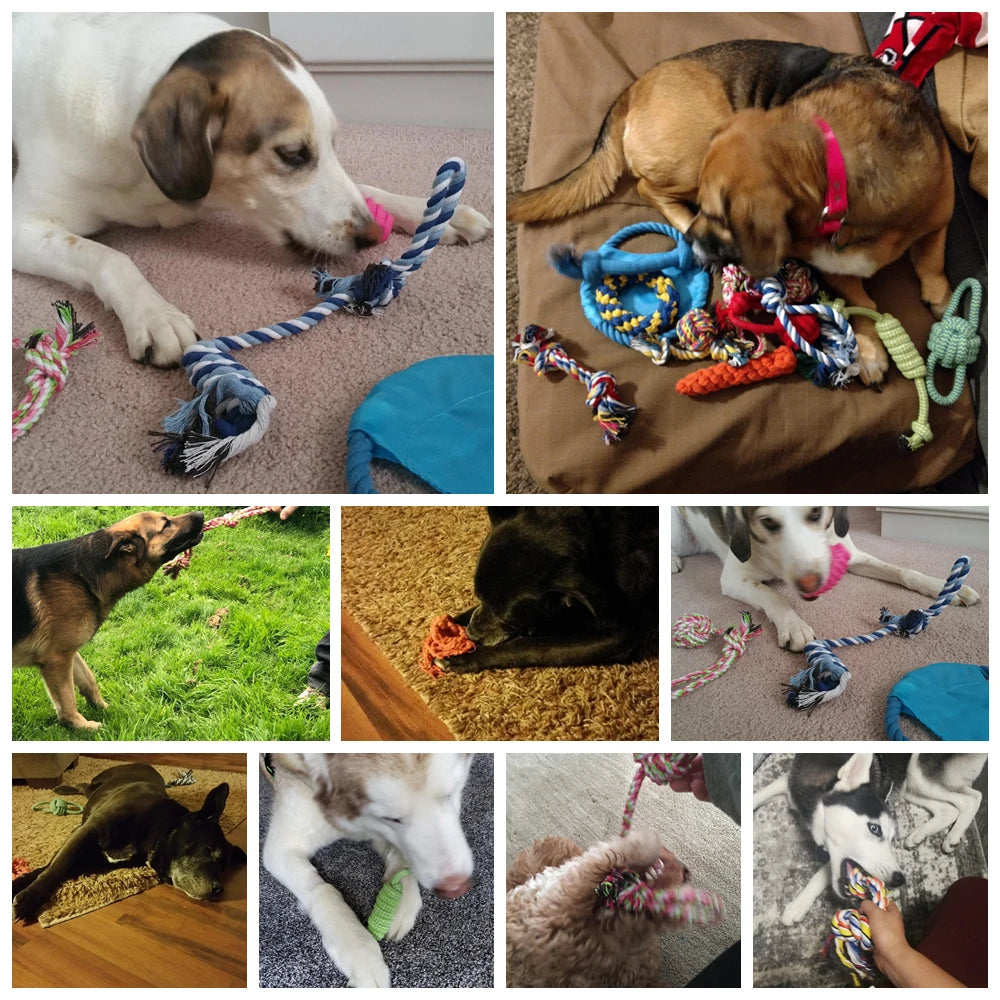 12 PCS Large Dog Toys