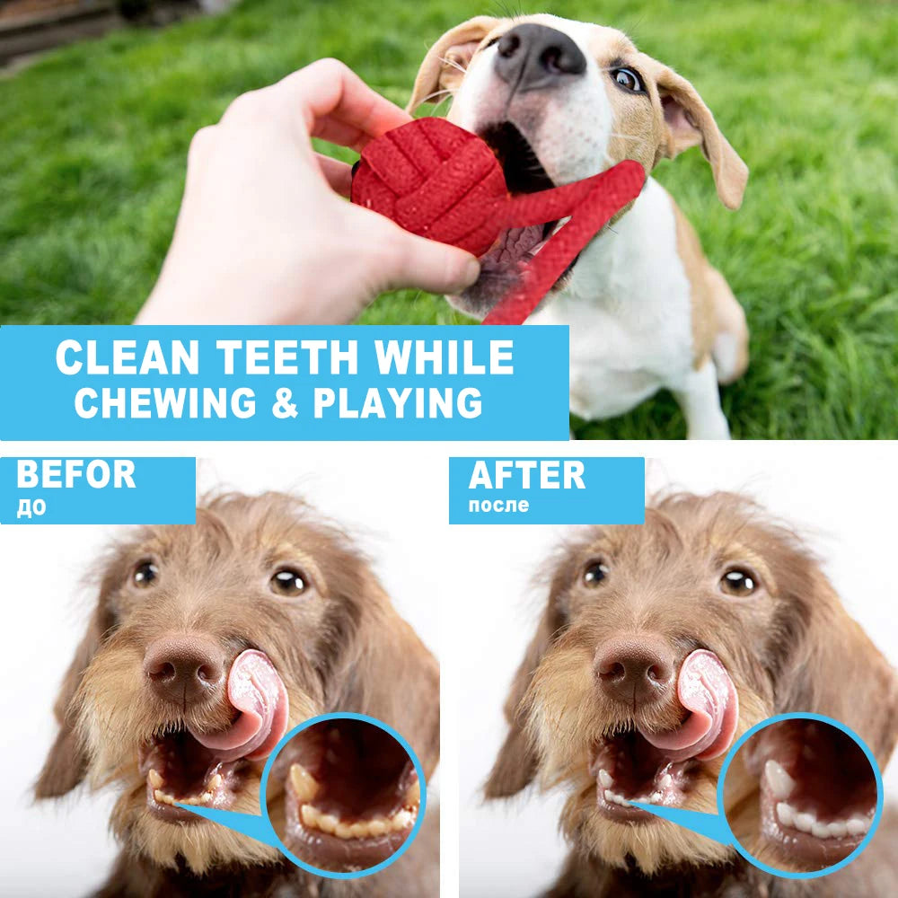 12 PCS Large Dog Toys