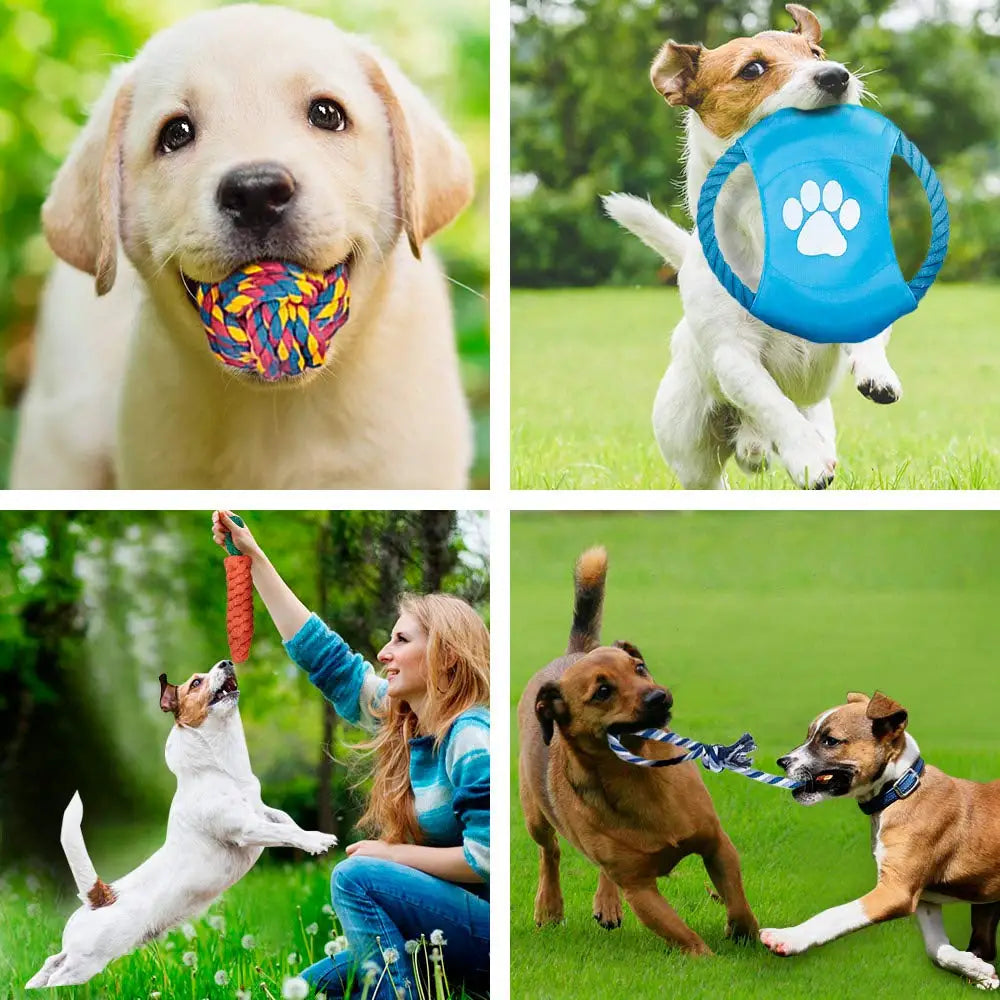 12 PCS Large Dog Toys