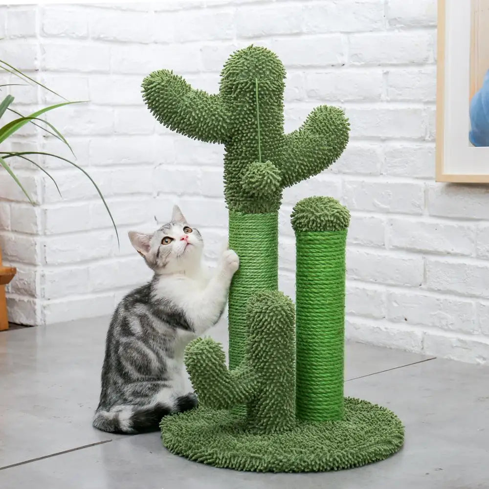 Cat Condos