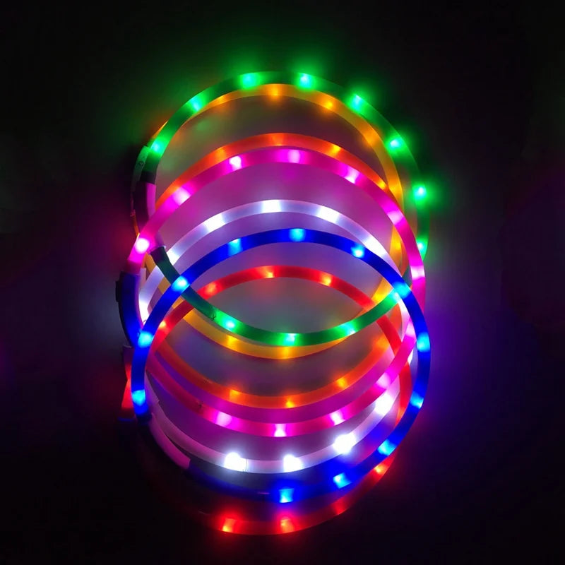 LED Dog Collar