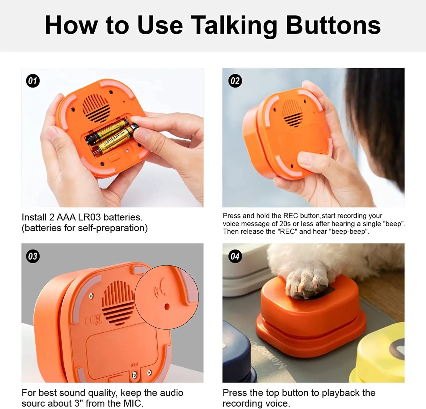 Dog Training System