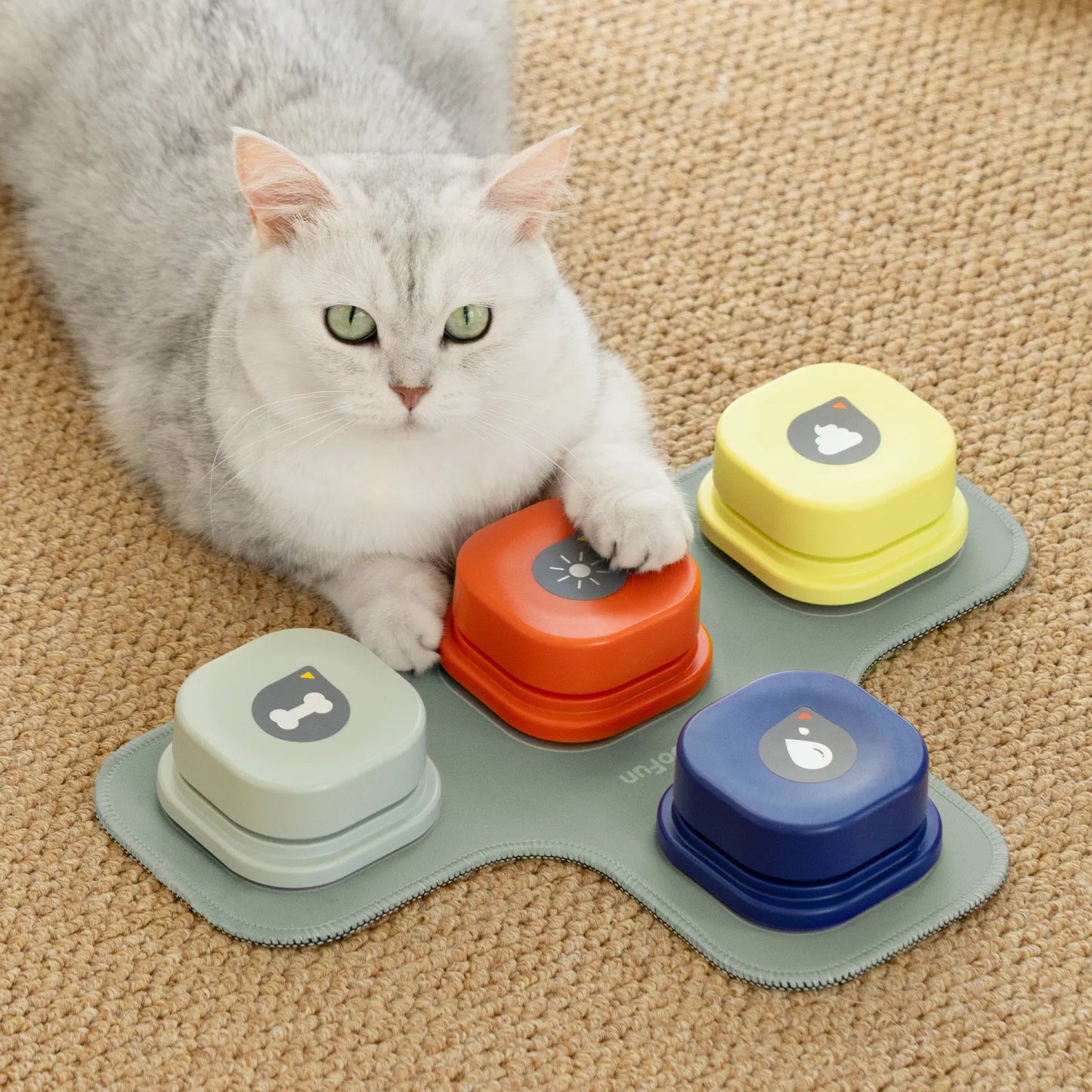 Dog Training System