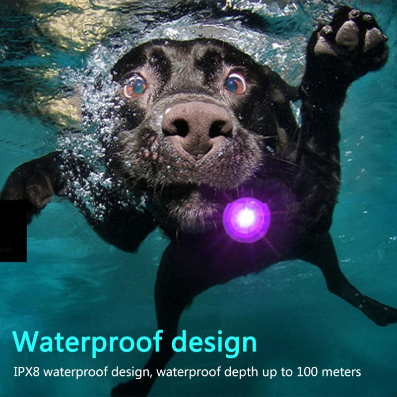 LED Collar Light for Pets