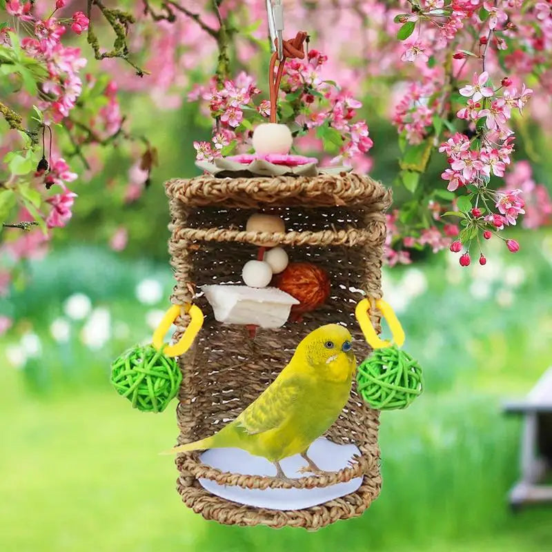 Hanging Bird's Bungalow