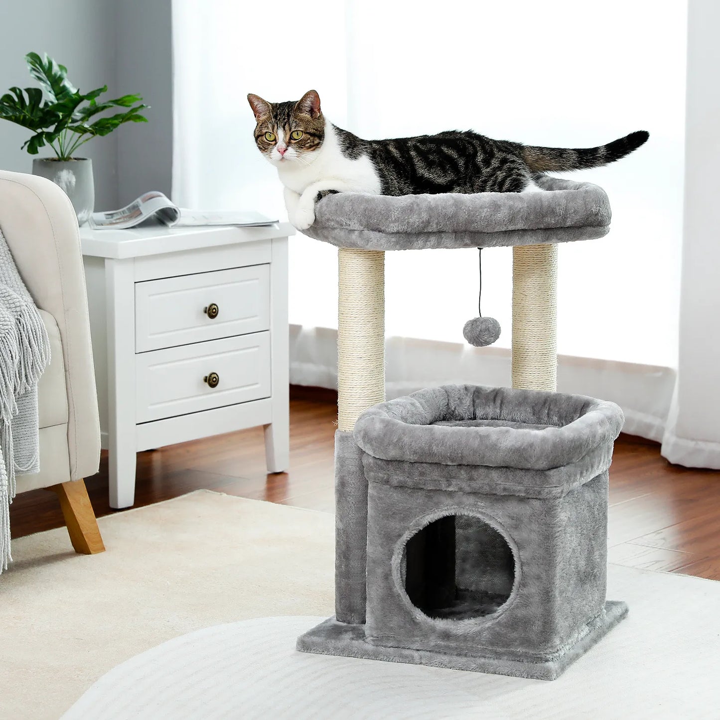 Cat Condos