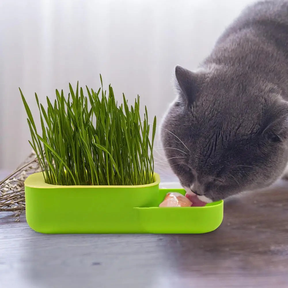 2 In 1 Cat Grass Cultivation Container With Cat Food Cup