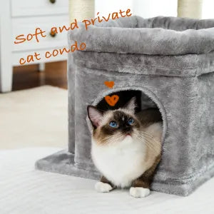 Cat Condos