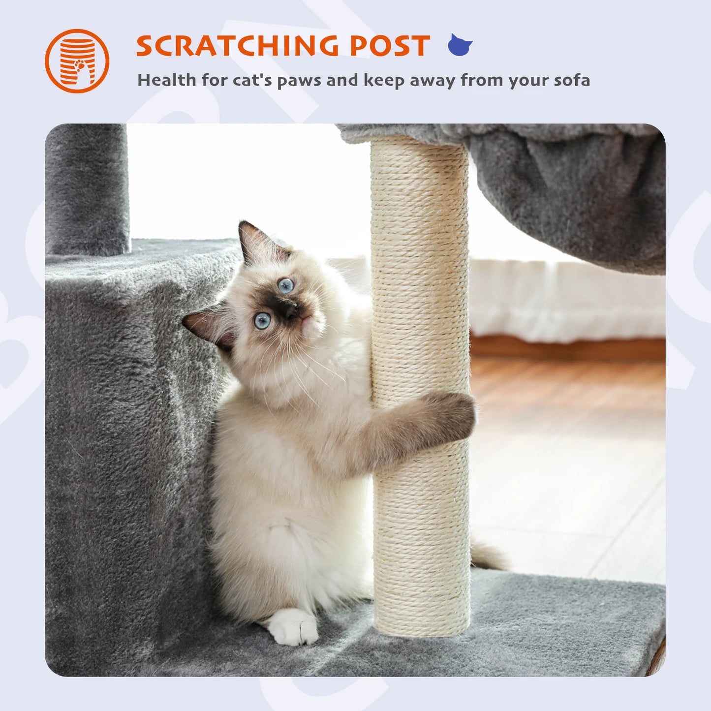 Cat Condos