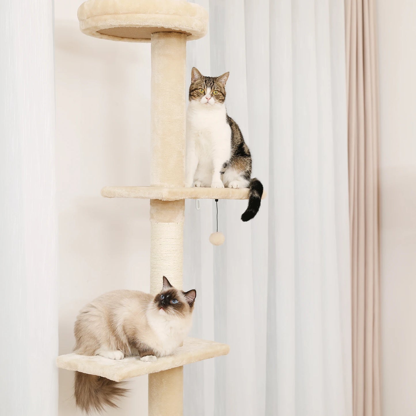 Floor to Ceiling Cactus Cat Tree