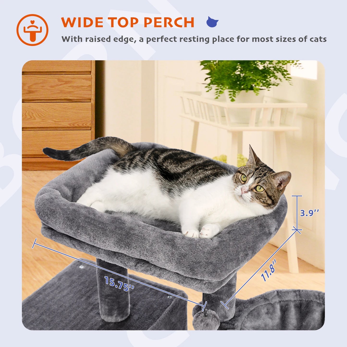 Cat Condos