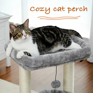 Cat Condos