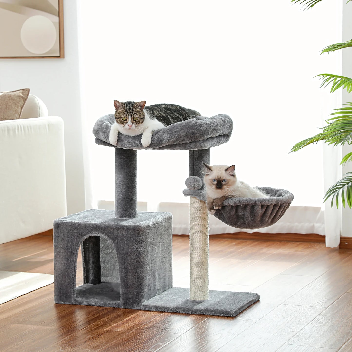 Cat Condos