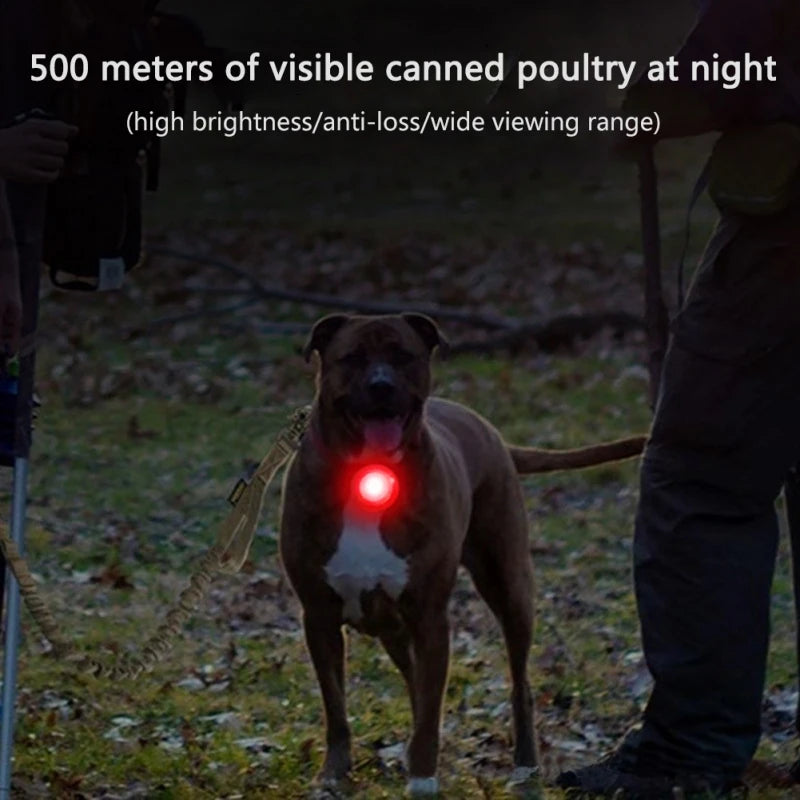 LED Collar Light for Pets