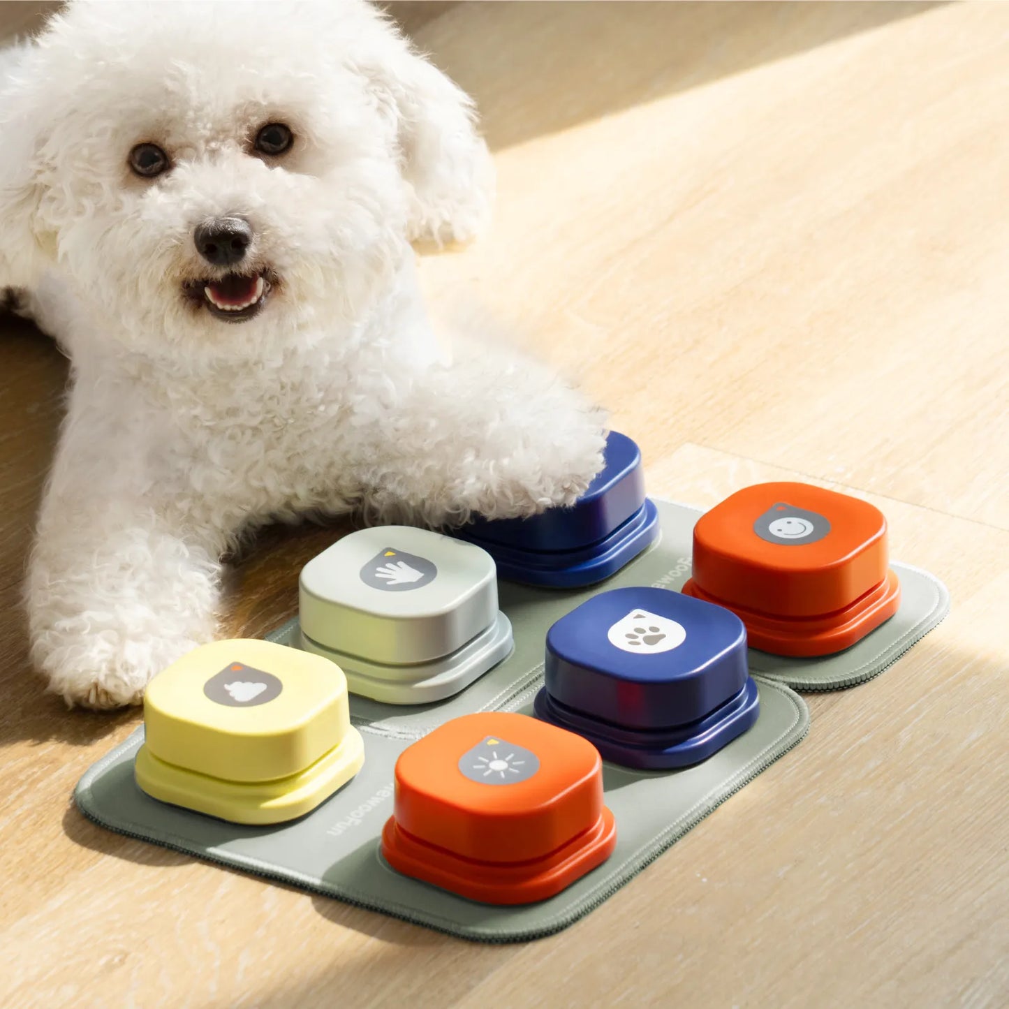 Dog Training System
