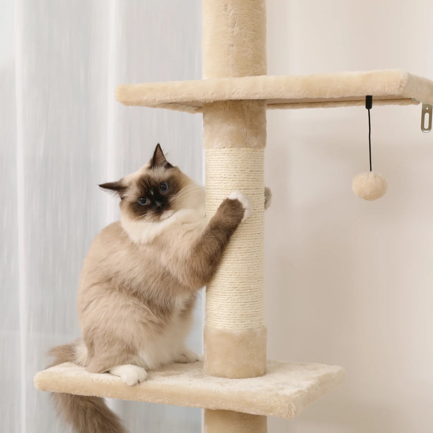 Floor to Ceiling Cactus Cat Tree