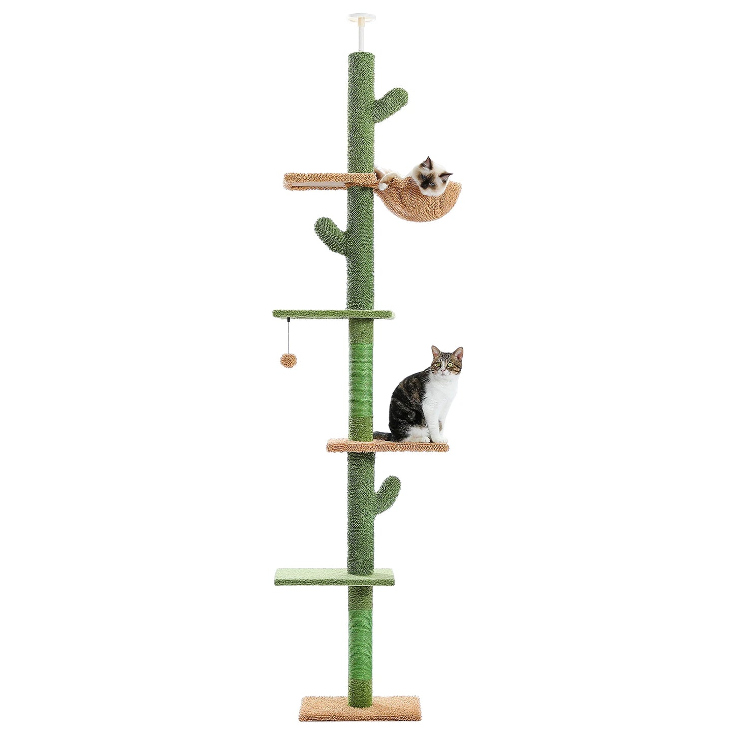 Floor to Ceiling Cactus Cat Tree