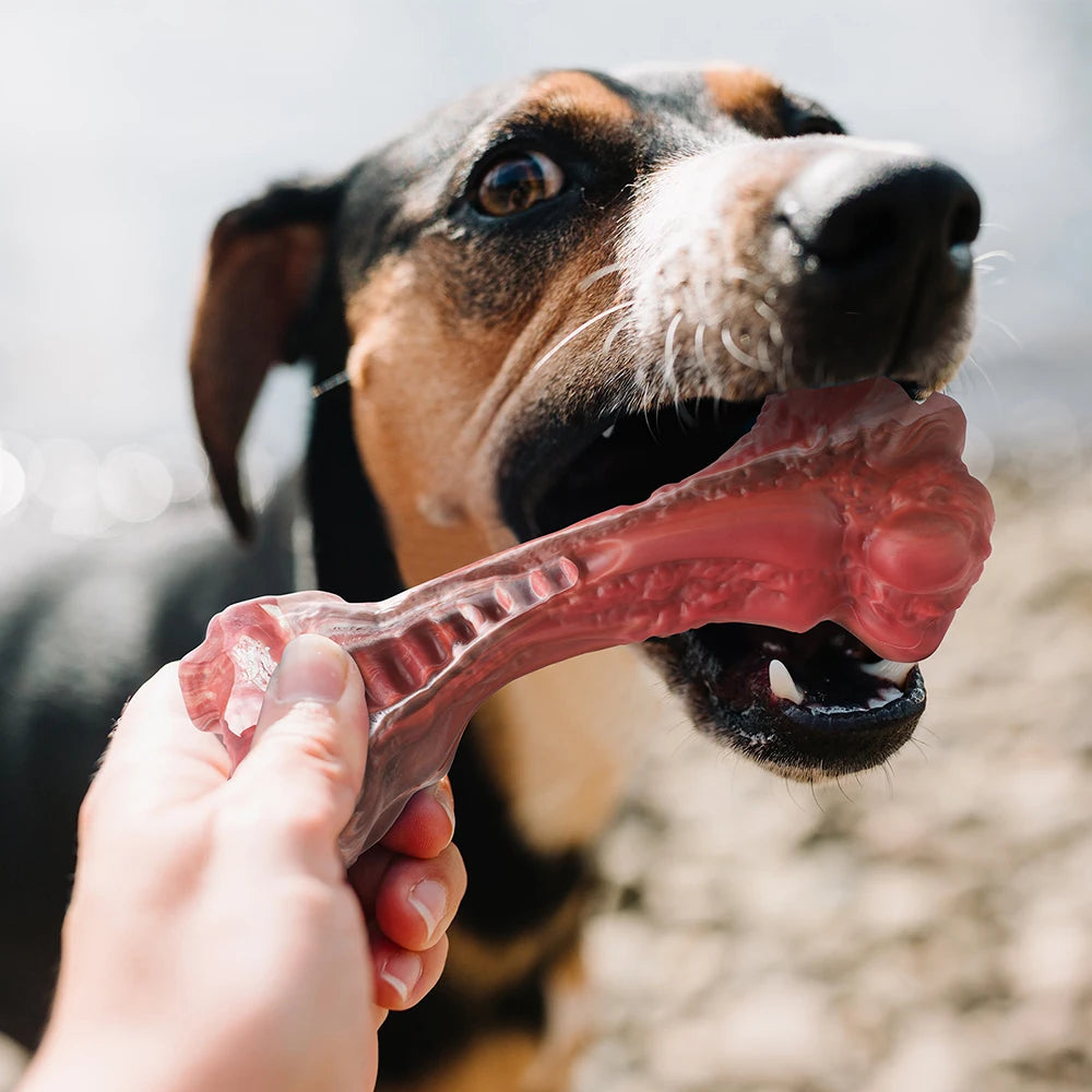 Ultra Durable Dog Chew Toy