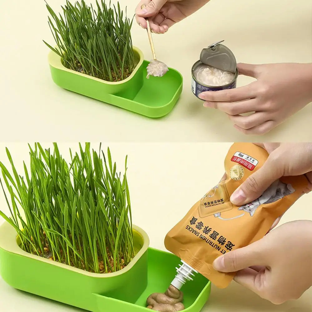 2 In 1 Cat Grass Cultivation Container With Cat Food Cup