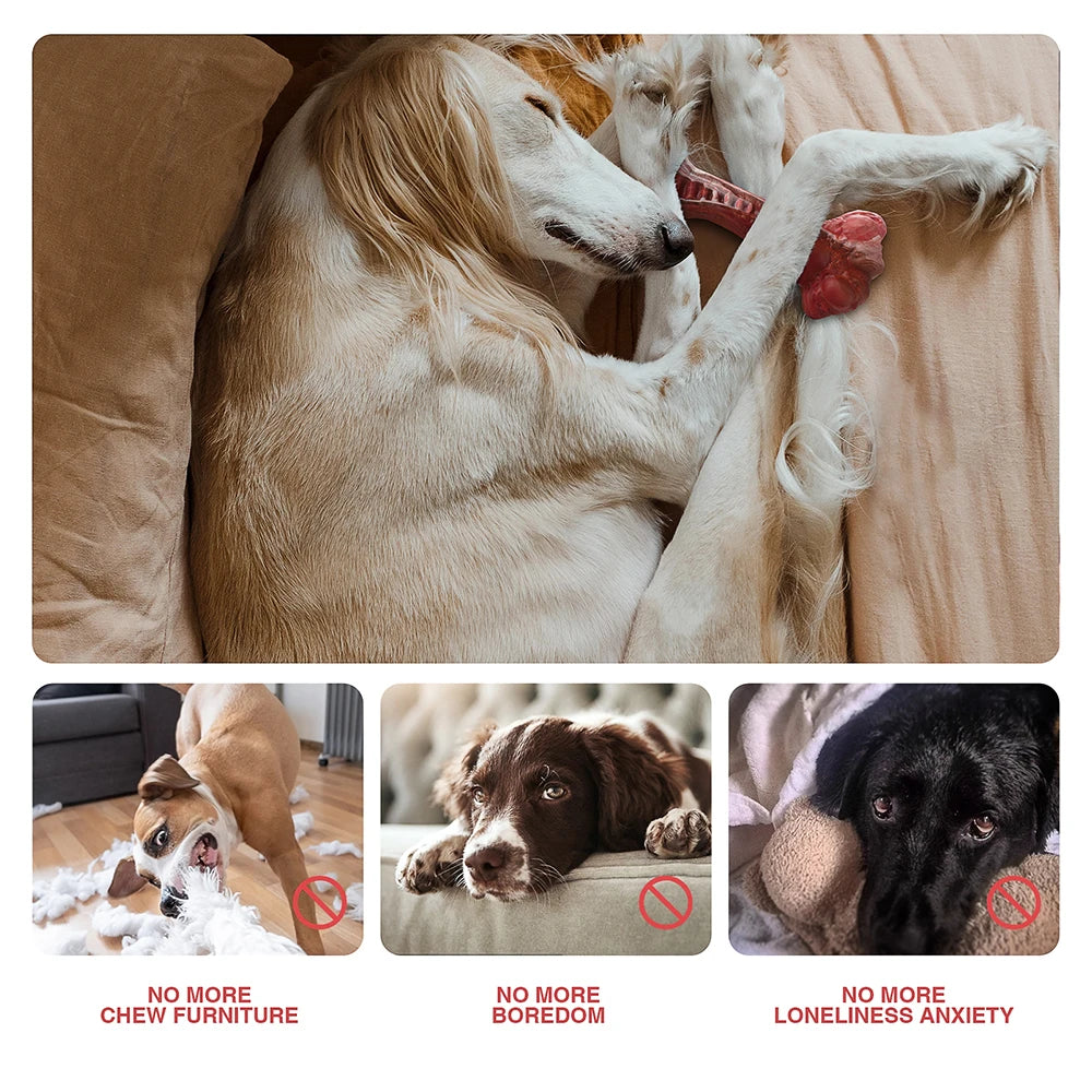 Ultra Durable Dog Chew Toy
