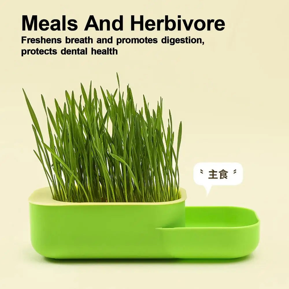 2 In 1 Cat Grass Cultivation Container With Cat Food Cup