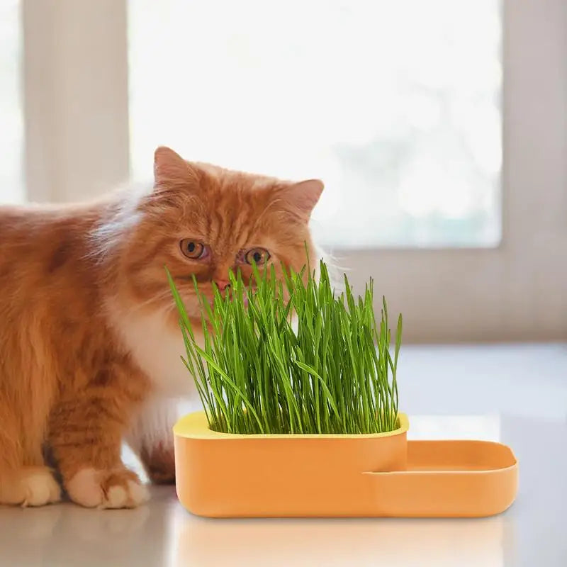 2 In 1 Cat Grass Cultivation Container With Cat Food Cup