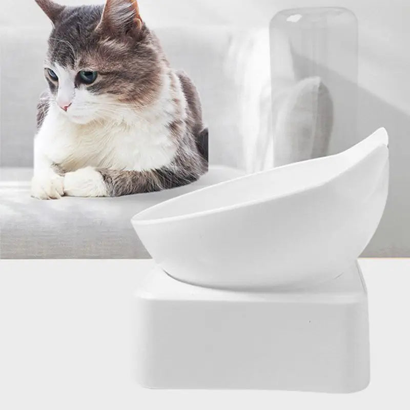 Cat Food Bowl with Automatic Water Dispenser