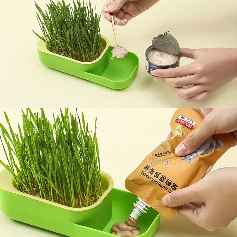 2 In 1 Cat Grass Cultivation Container With Cat Food Cup