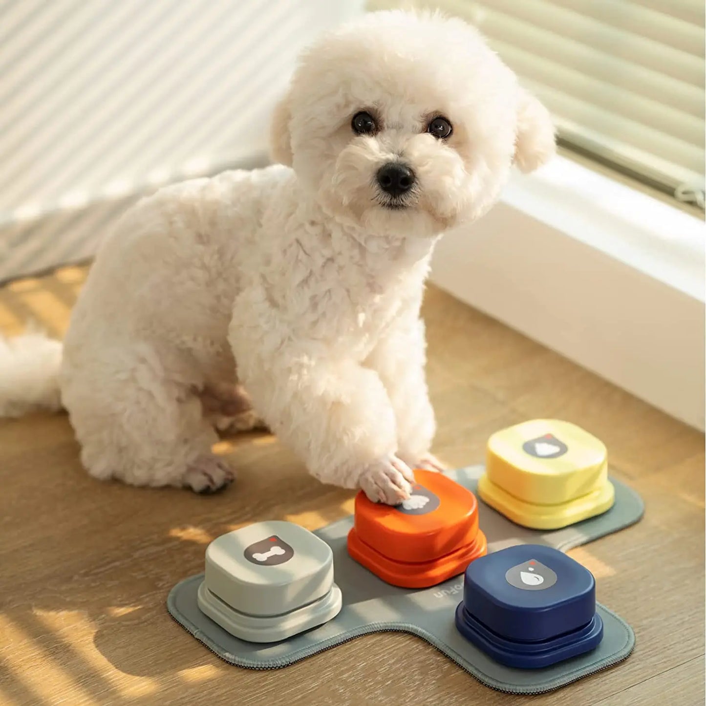 Dog Training System
