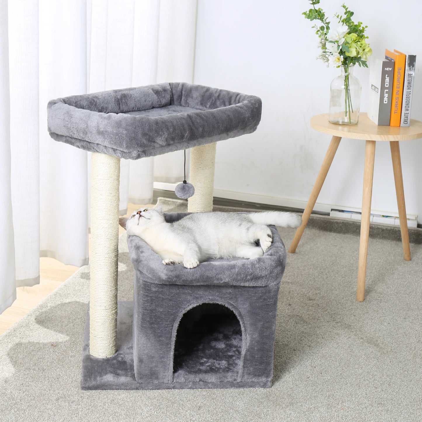 Cat Condos