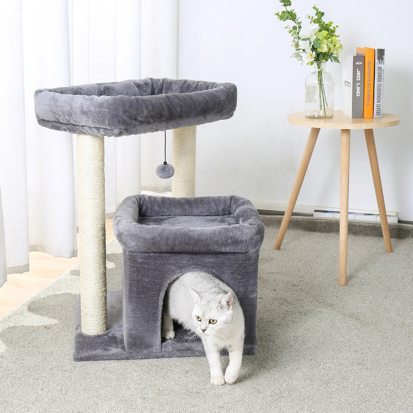 Cat Condos
