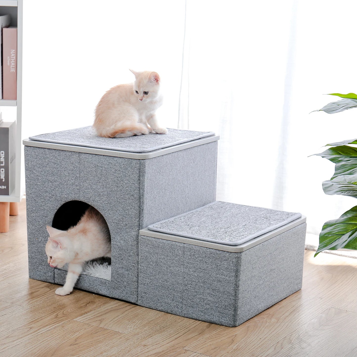 Cat Condos