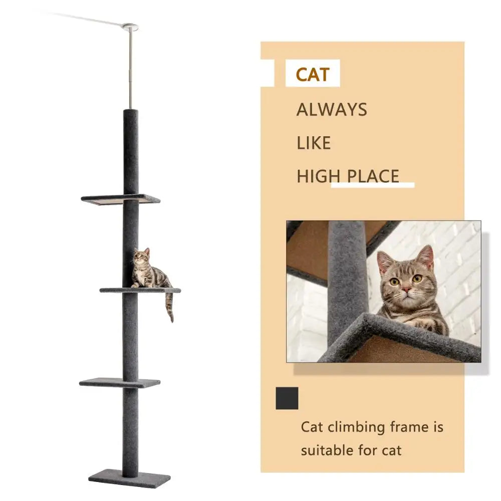 Cat Condos