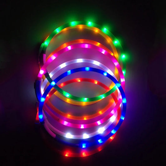 LED Dog Collar