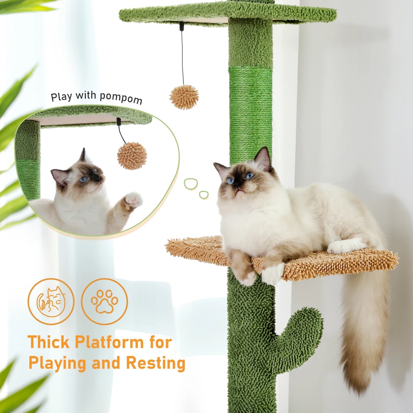 Floor to Ceiling Cactus Cat Tree