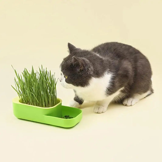 2 In 1 Cat Grass Cultivation Container With Cat Food  Cup